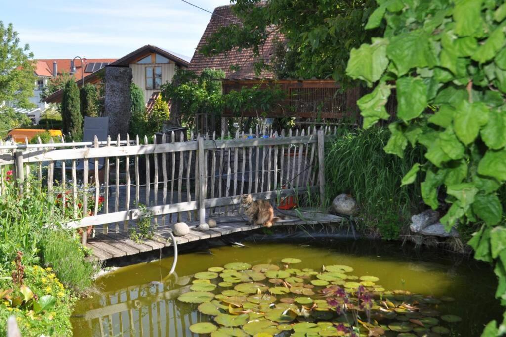 Ferienwohnung Roth, Unlingen エクステリア 写真