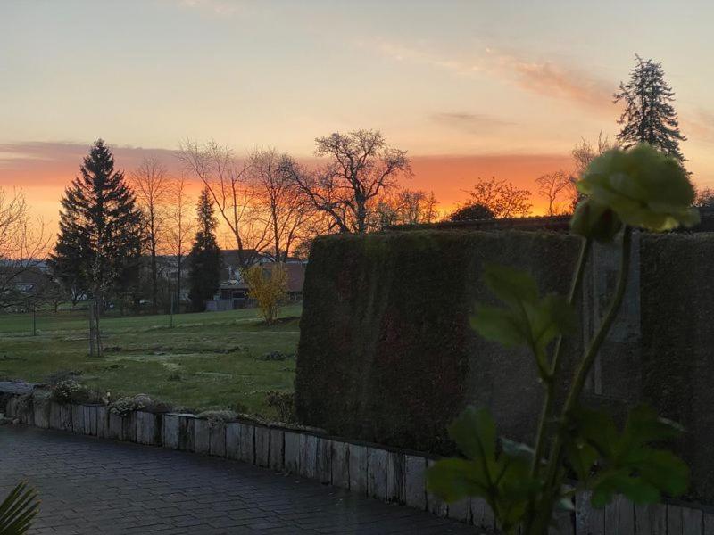Ferienwohnung Roth, Unlingen エクステリア 写真