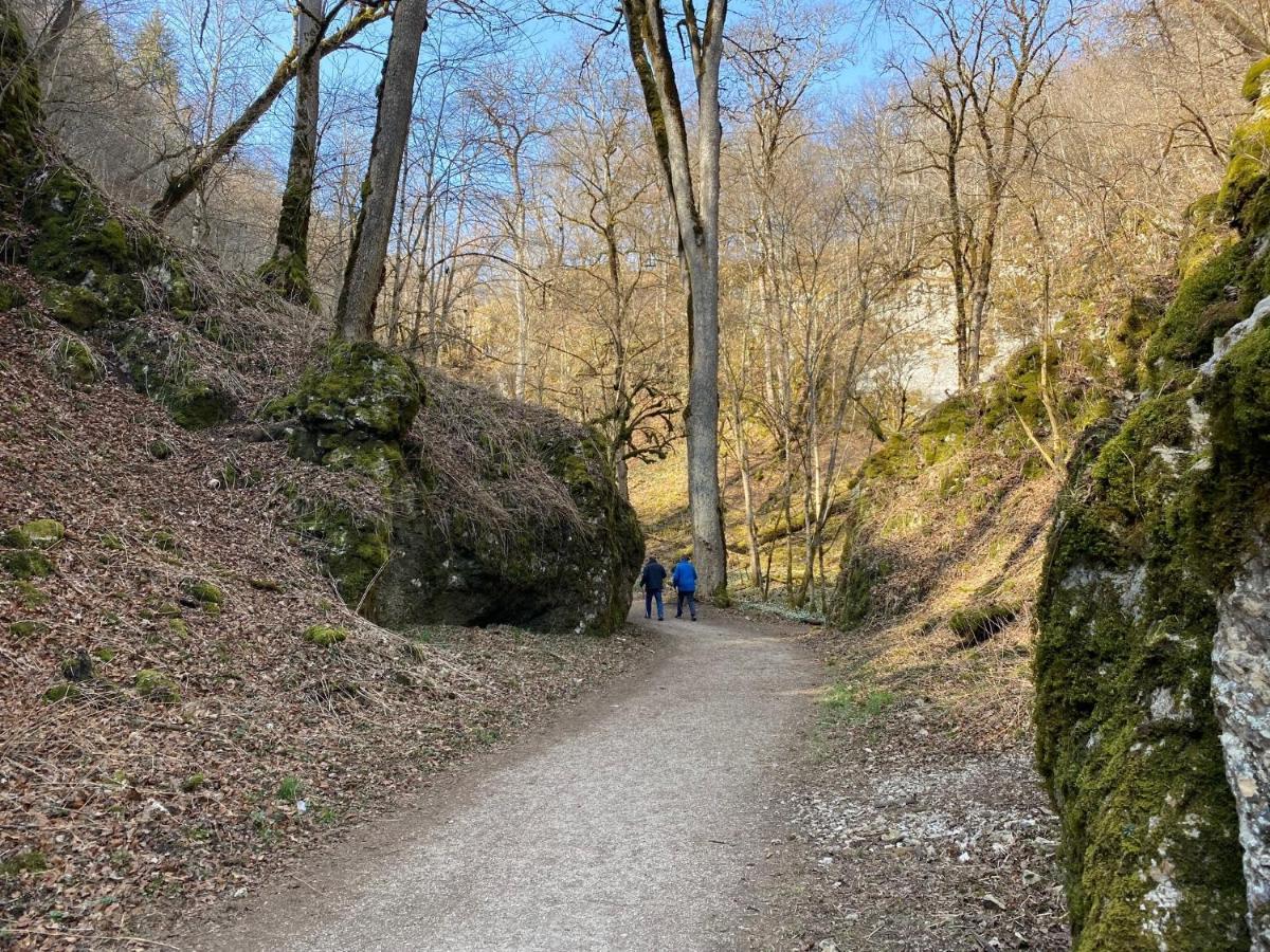 Ferienwohnung Roth, Unlingen エクステリア 写真